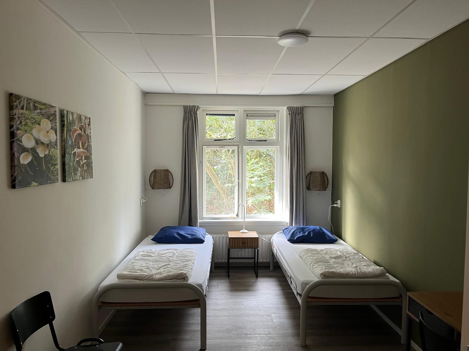 Bibliotheek - 7 van 8