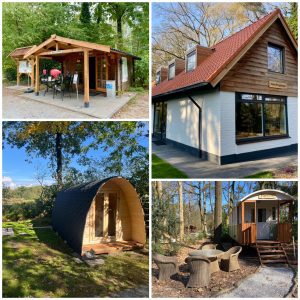 collage_export_E5E72514-BB36-42C6-B09D-01085B4701BC